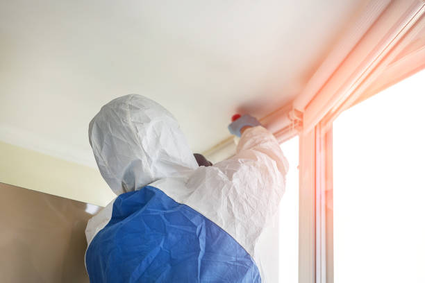 Best Asbestos and Lead Testing During Mold Inspection  in USA